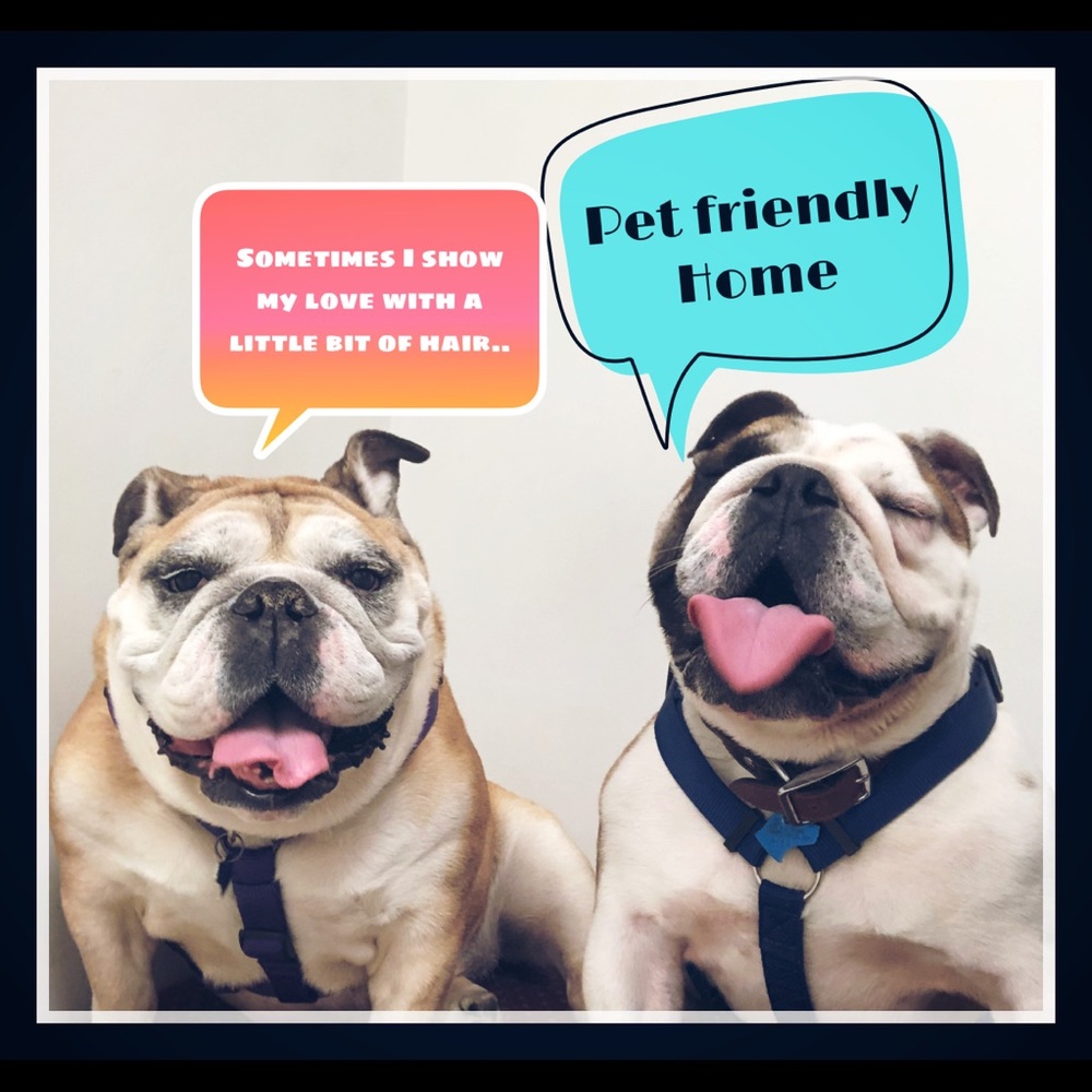 Pet Friendly Home